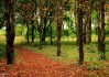 世界短跑草根训练项目：社区教练带动更多少年加入训练，世界短跑选手排名