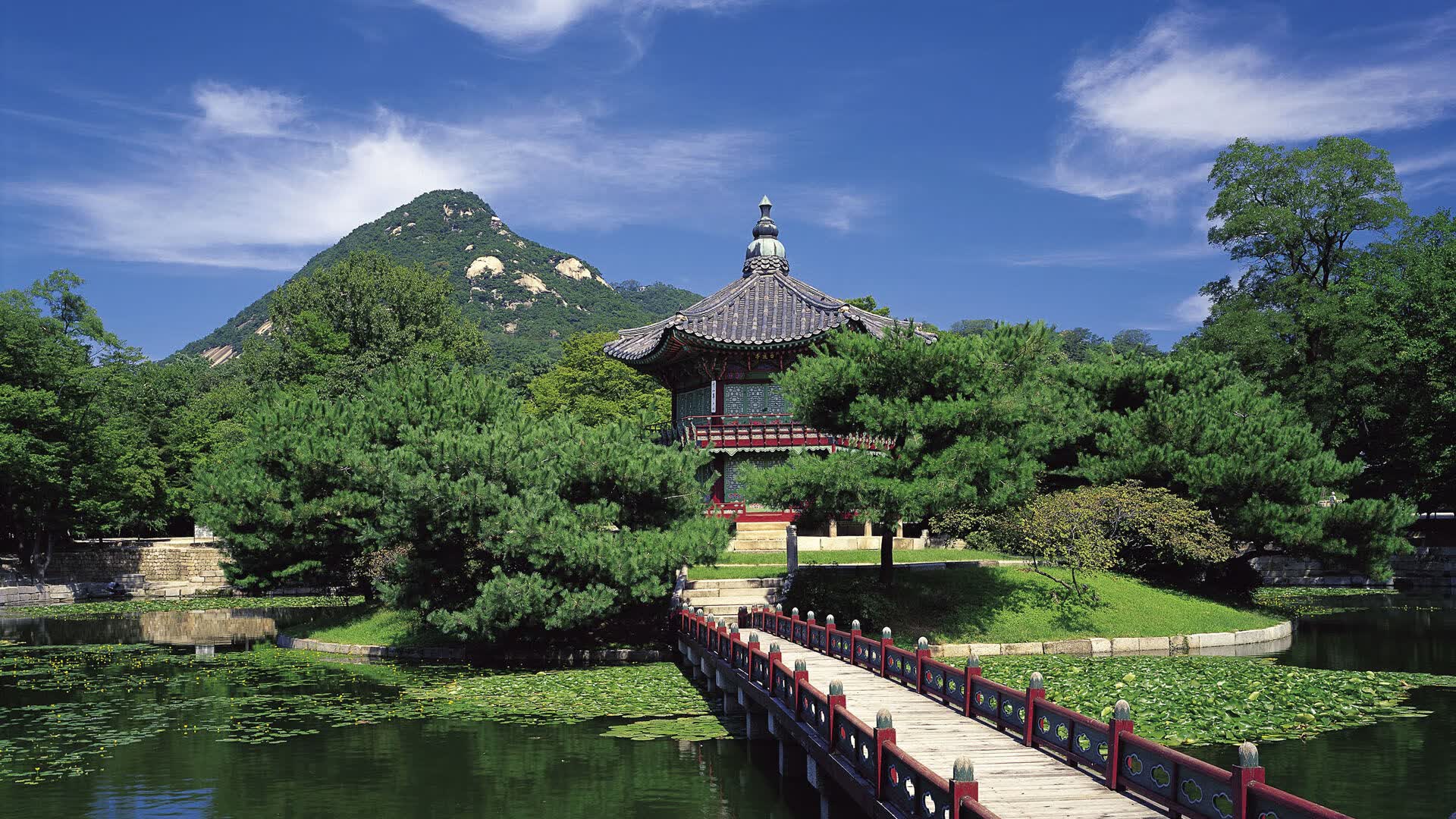 世界短跑社区导师计划扩展:名师下沉扶持地方教练,世界短跑王国